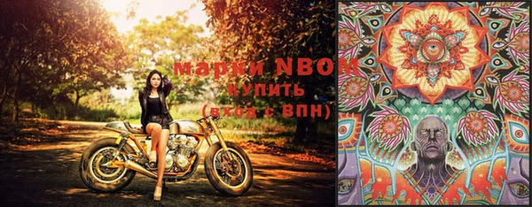 прущая мука Арсеньев