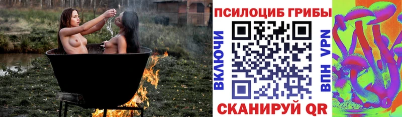 Галлюциногенные грибы Psilocybine cubensis  что такое наркотик  Орёл 